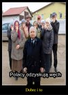 Po sloganie: "PiS=drozyzna", Polacy zaczynaja kumac!