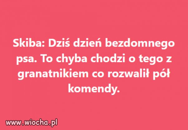 On jest "domny"...