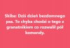 On jest "domny"...