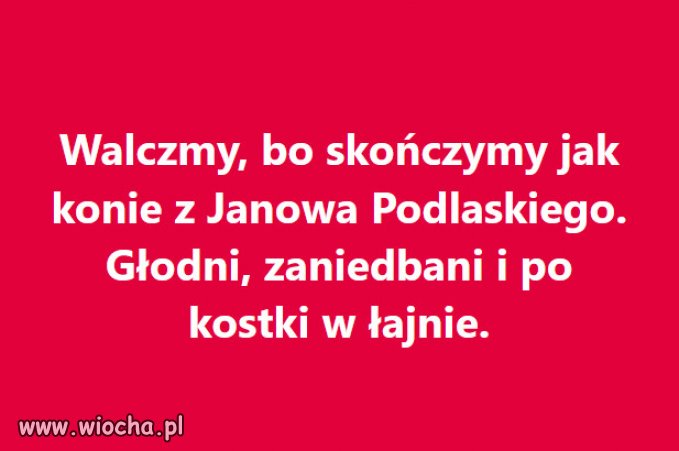 Czas wstac z kolan...jak bunczucznie glosil PiS!