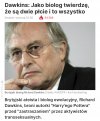 Patrzcie, nie katol…