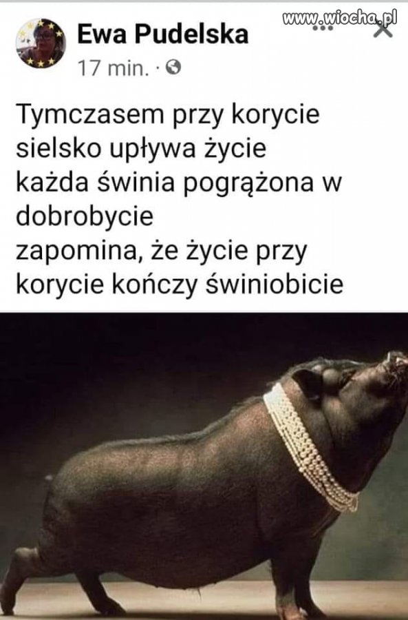 Przypomina mi pewną osobę, o której ostatnio głośno, 