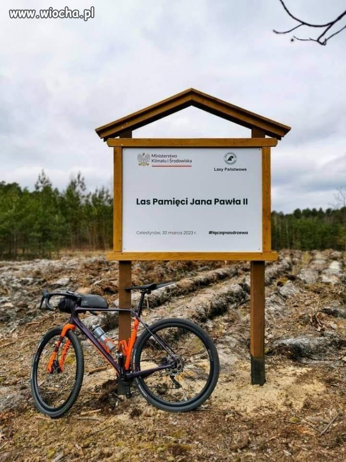 Wycięta pamięć o papieżu