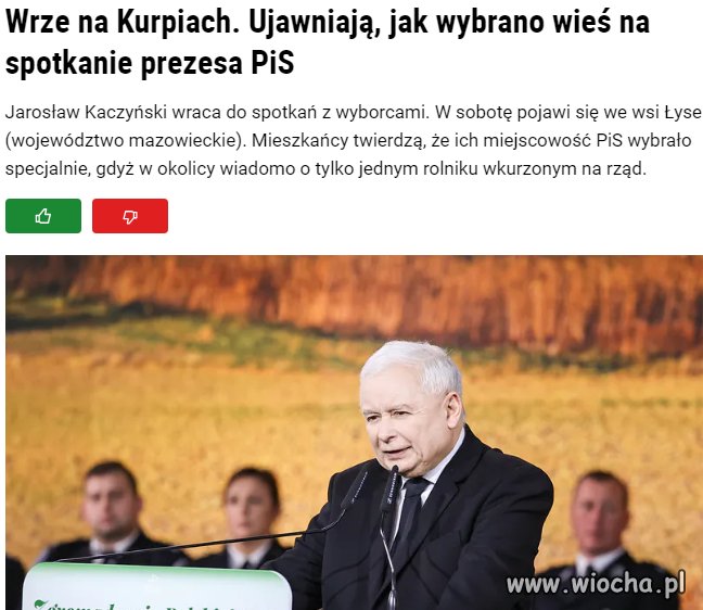Ponieważ producenci zboża są wkurzeni
