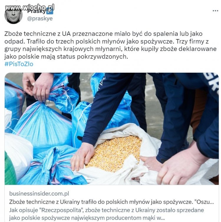 Zanieczyszczone zboże z pleśnią i robakami