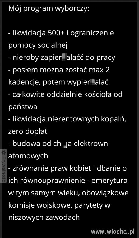 Bardzo dobry program wyborczy 