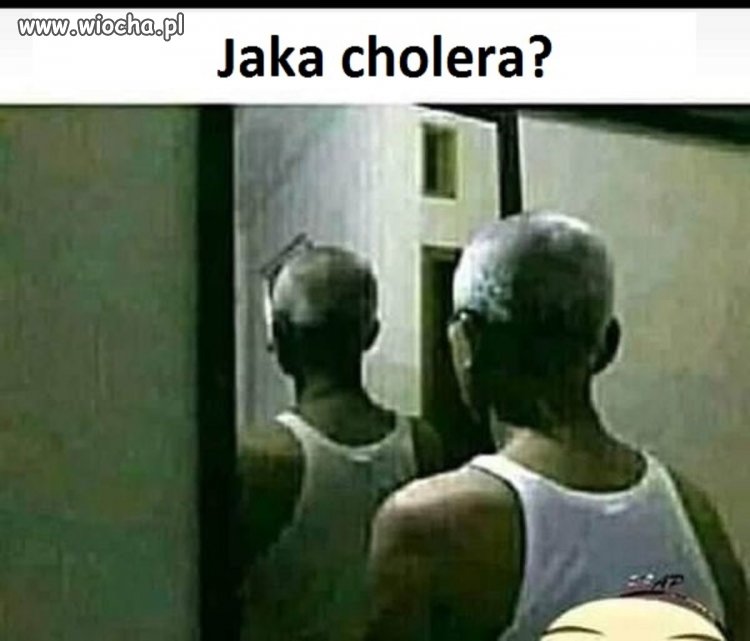 Tak to jest 
