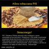 Brawo PiS! Te drobne cwaniaczki, wszedzie zwesza biznes...