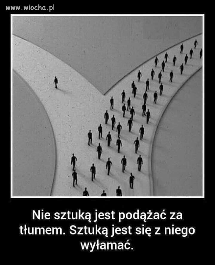 Potwierdzam