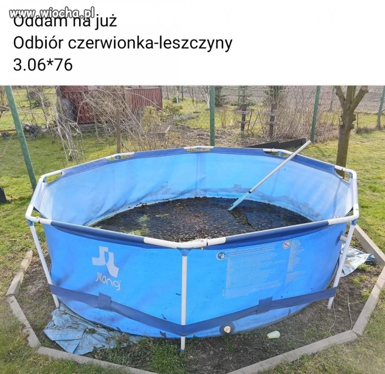 Spa naturalne z kijanek 