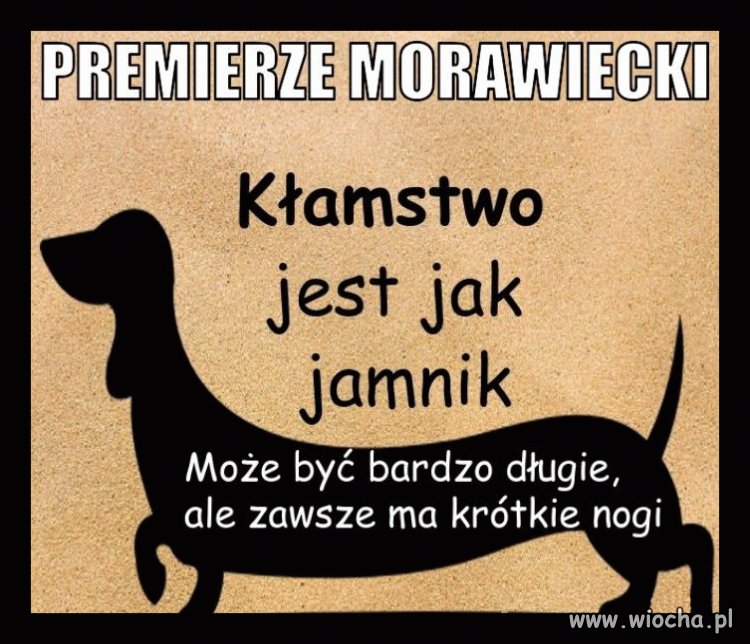 Taka prawda pisony