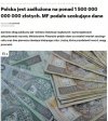 A pisowscy debile nadal nie rozumieją 