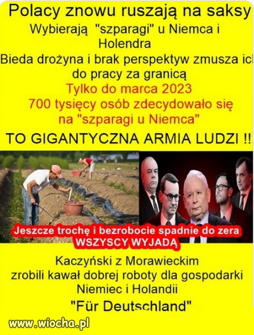 Nie posluchali Morawieckiego, zeby wracac do dobropbytu PiSu!