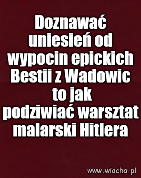 Za tymi artystami stoi rzesza fanatyków