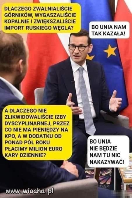 Typowy pisowiec