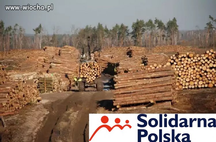 Nowe logo