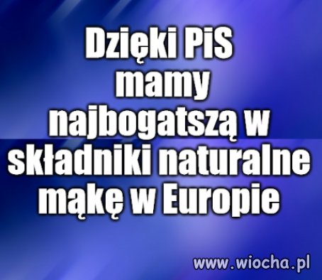 Polak, Polakowi księdzem