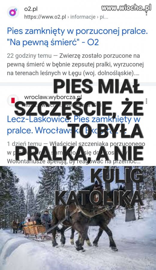 Kuligu katolika nikt nie przeżyje