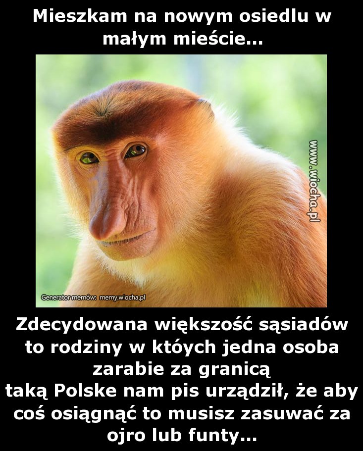 Mieszkam na nowym osiedlu w małym mieście...