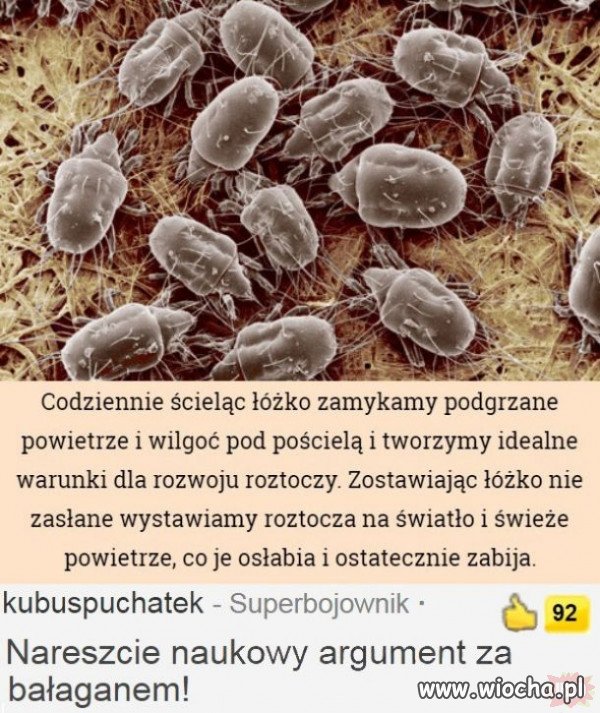 Taka ciekawostka.