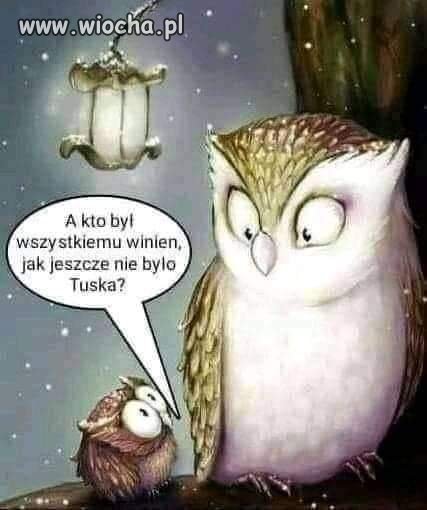 No właśnie