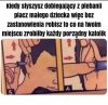 I wszystko wiadomo