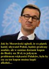 Festiwal obietnic