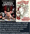 Lektura obowiązkowa