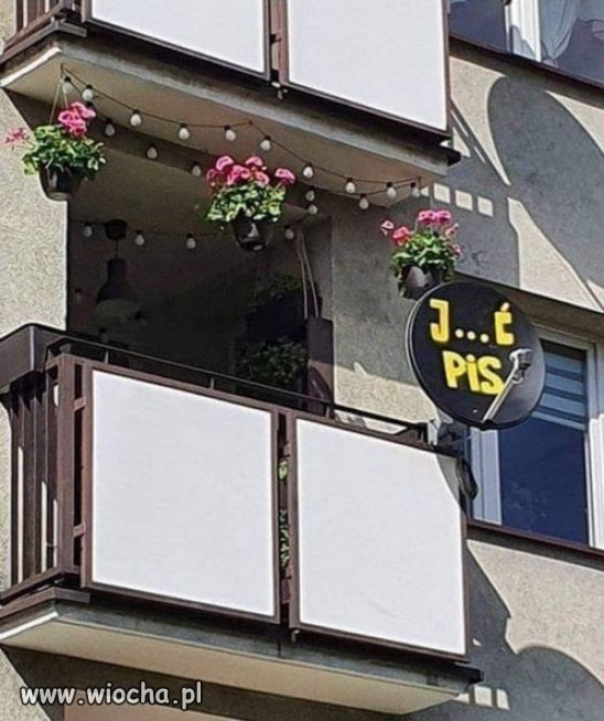 Idzie wiosna, pojawiły się pierwsze kwiaty na balkonach.