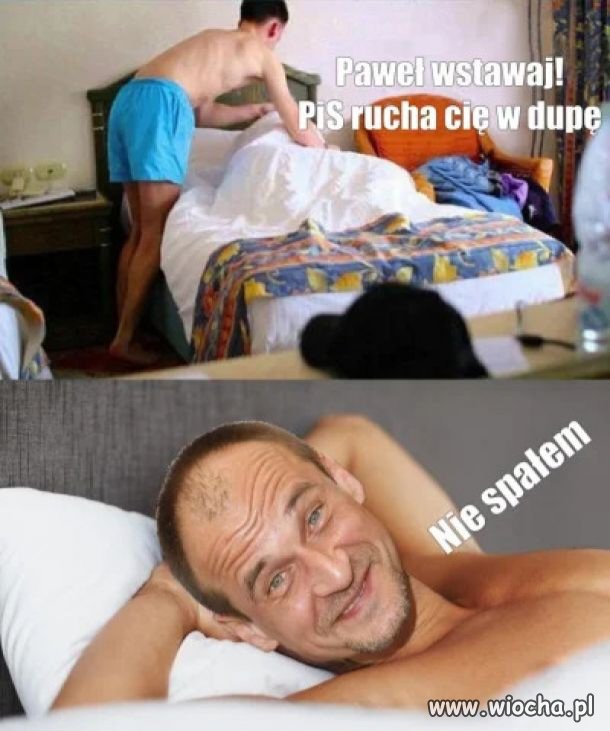 Wszystkie sprzedajne szmaty 