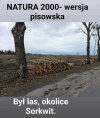 Obraz Polski pod rządami PiS. Pierwsze były konie w Janowie