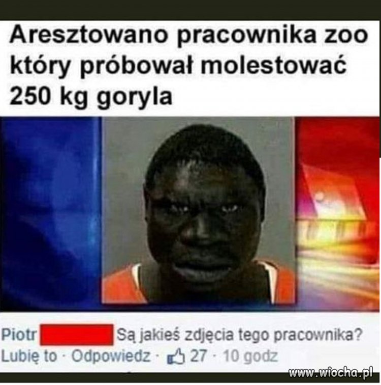 Wkrótce więcej informacji