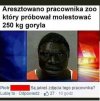 Wkrótce więcej informacji