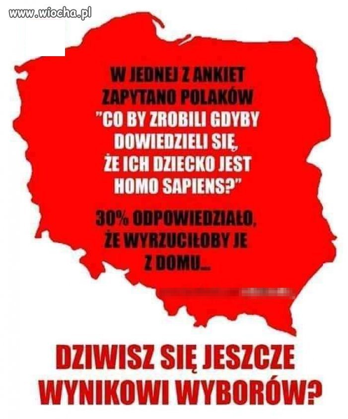 Mnie już w tym kraju niewiele zdziwi. 