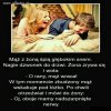 Jedno warte drugiego