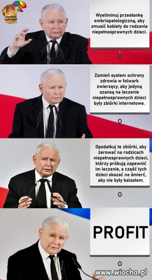 Kaczor 