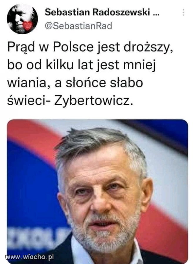 Z cyklu, "złote myśli pisowca".