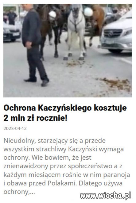 Jarosław Kaczyński jest tylko zwykłym posłem...