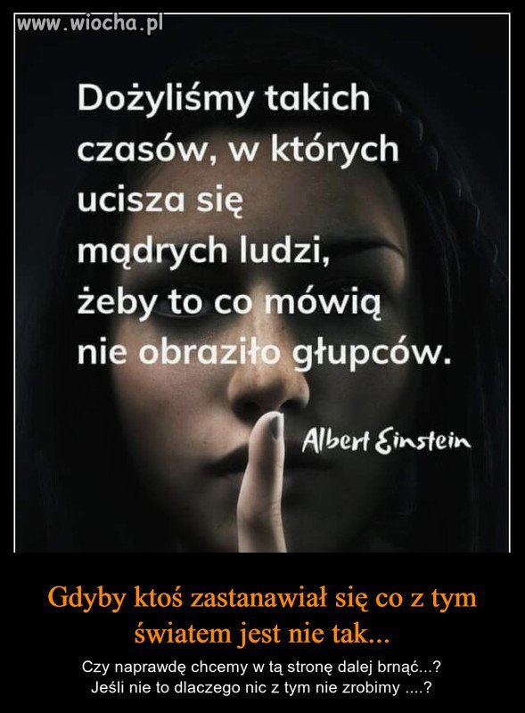 PiS zrobił z Polski "Dom Wariatów", gdzie głupota jest cnota!