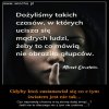 PiS zrobił z Polski "Dom Wariatów", gdzie głupota jest cnota!
