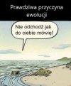 Tak to się zaczęło.
