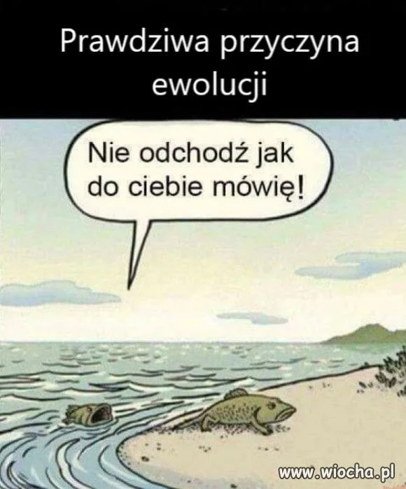 Tak to się zaczęło.
