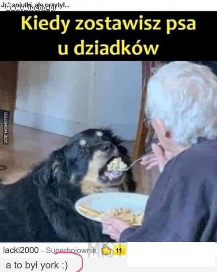 Bywa i tak