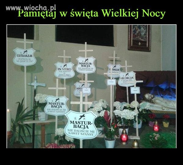 Brakuje tylko głupoty