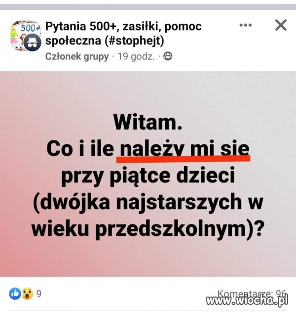 Typowa wyborczyni PiS 