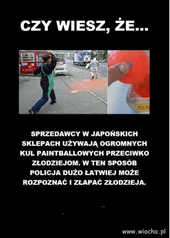 Taka ciekawostka