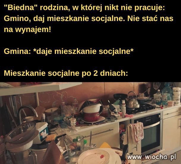 Pisowskie patole