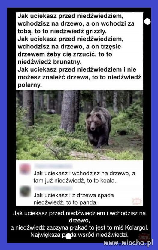 Czyli wszystko wyjaśnione