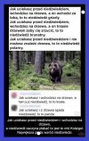 Czyli wszystko wyjaśnione