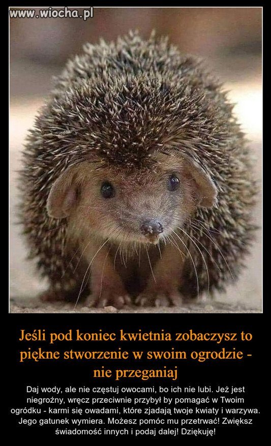 Pamietajcie o tym...